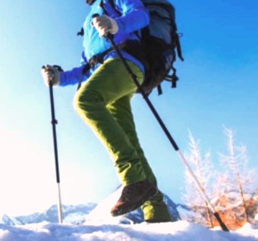 GWT2P Nordic Walking Health-Zones